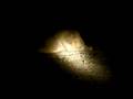 mfuwe zambia 1 - night game drive