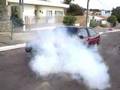 GTS Borrachão Aspirado