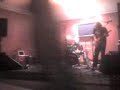 Horse Drawn Nut - Box spring hog (live)