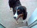 Berneńczyk Vicky slow motion in LG KU 990 120 FPS