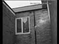 Bats in Gateshead