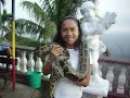 Python @ Residence Inn Zoo, Tagaytay City Python @ Residence Inn Zoo, Tagaytay City