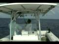 Mahi fly.wmv