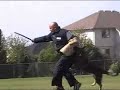 Schutzhund North Central Regional Winner f//h