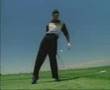 tiger-woods