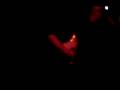 ASESINO BRUJERISMO MATANDO WEROS Live CHICS BAR