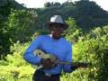 Musica LLanera - Daniel Gualtron