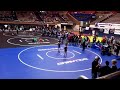 Bullpup Wrestling