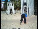 swfr SouthWestFreeRun first day vid.wmv swfr SouthWestFreeRun first day vid.wmv