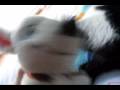 BOLT: Episode 3