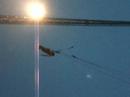 Robert Flying