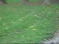 My Dad`s House!.WMV