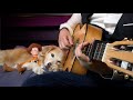 OST "Toy Story" - You've Got a Friend In Me (Fingerstyle Guitar Cover)