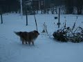 Osku ja lumituisku
