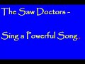 The Saw Doctors - \"Sing a Powerful Song\"