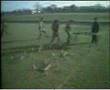 Monty Python's Flying Circus - Twit Olympics