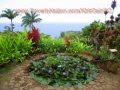 Relaxing Music- Soothing Music- Calming music ...