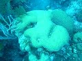 Guatemala Video