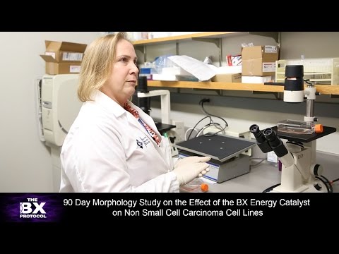 BX Protocol: Utah State University Lab by Patti Champine, M.Sc.