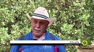 تقرير : وادي سلامة - مسار مشي وطبيعة خلابة،صباحنا غير،28-10-2018،قناة مساواة الفضائية تقرير : وادي سلامة - مسار مشي وطبيعة خلابة،صباحنا غير،28-10-2018،قناة مساواة الفضائية