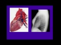 1. Mending a Broken Heart | Mini Med School