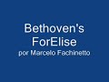 marcelo fachinetto plays bethovens forelise on guitar