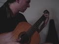 marcelo fachinetto plays bethovens forelise on guitar