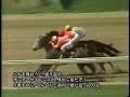 Sunday Silence