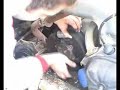Tambor Freno Delantero 2/3 - Mecanico 2cv 3cv