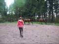 videos de Irtohypytystä.