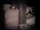 Johan Blixt- Suicides and Disco Dances