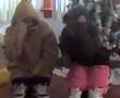 videos de scooney