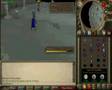 Puss arrow / arr0w - RANK 1 FIST OF GUTHIX  - Dark bow pk -