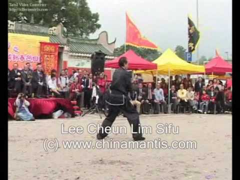 KWONGSAI MANTIS - LEE SIFU - WON HOP KUEN 2007 See video