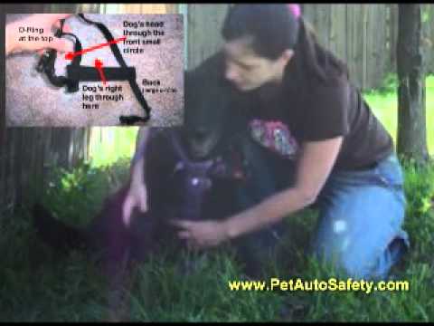 how to fit kramar dog harness