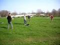 Rounders near Rowntree Park