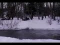 That's So Funny - Snowmobile Crosses Creek, But Hits Tree