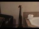 Pomeroy African Themed Suite