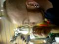 stan pushing nail into his brain