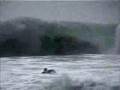 No Friends Bodyboard - Retina Rehab