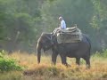 Elephants Corbett National Park, Ramnagar Uttaranchal, India