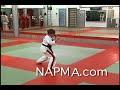 Ernie Reyes Sr. Teaches FOR NAPMA
