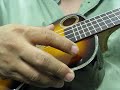 NEW! RIPTIDE Sunburst concert UC-2SC Ukulele with unique ports  musicguymic sound sample