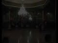 tango sur barcelona   café dominguez