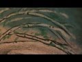 Great Mountain Fire It's Alright Official Music Video and Lyrics