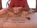 Dog Myofascial Massage Range of Motion