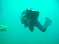immersione 22 metri portocesareo, incontro di una cassiopea (penso)