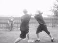 backyard brawling backyard brawling