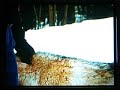 WOLVES IN THE ADIRONDACKS, VT, NEW ENGLAND by Mike French WOLVES IN THE ADIRONDACKS, VT, NEW ENGLAND by Mike French