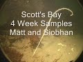 colonization-vs-depth-study.html